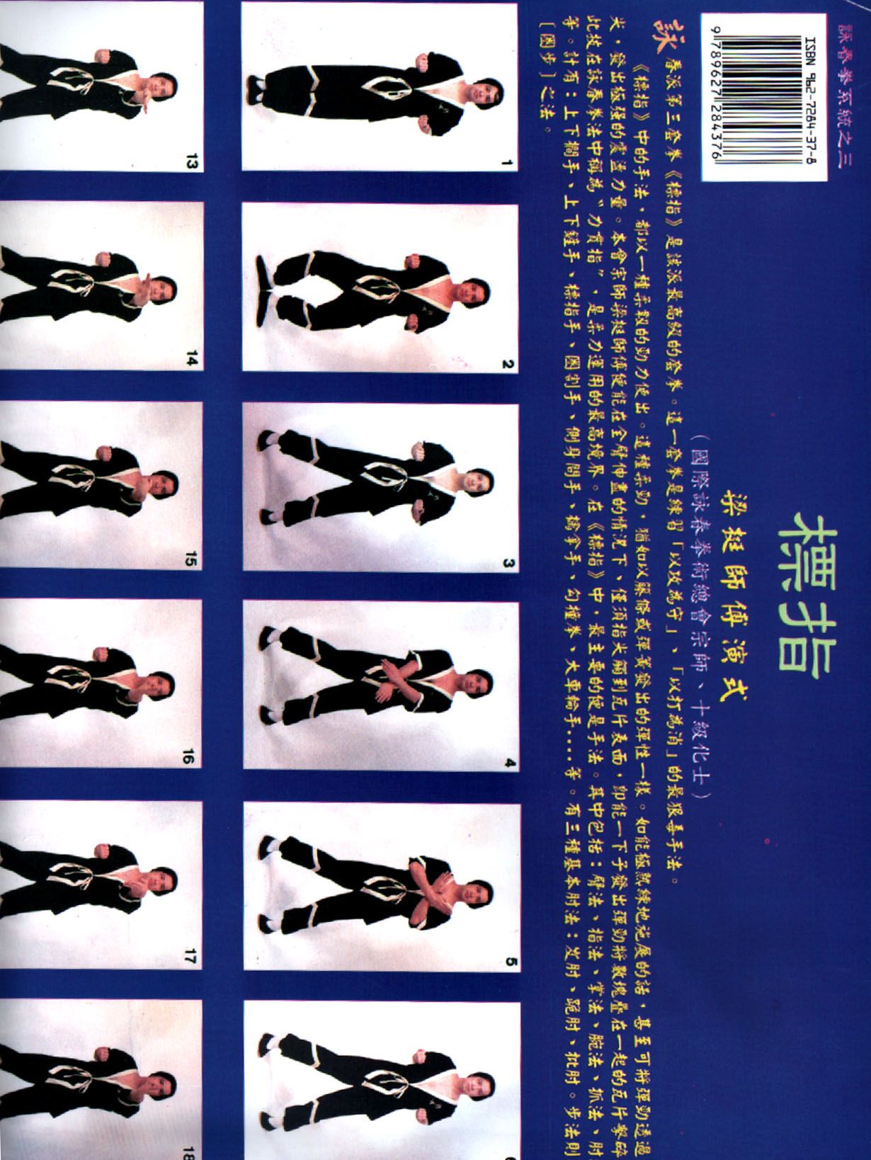 標指-海報 Biu Tze Poster (中英對照)