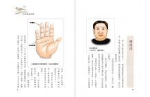 把榕樹頭掌相帶進課程
