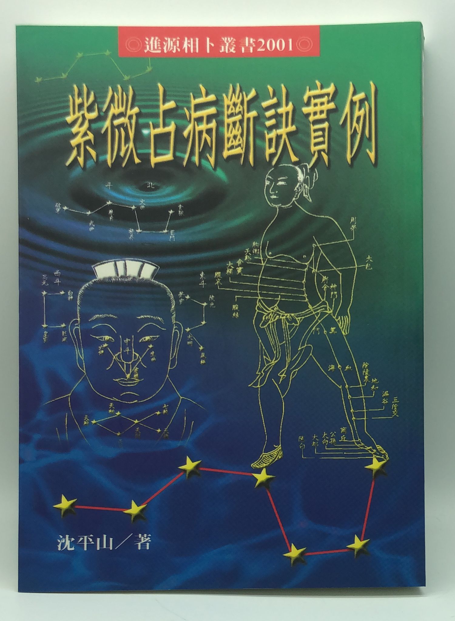 紫微占病斷訣實例 (2001)