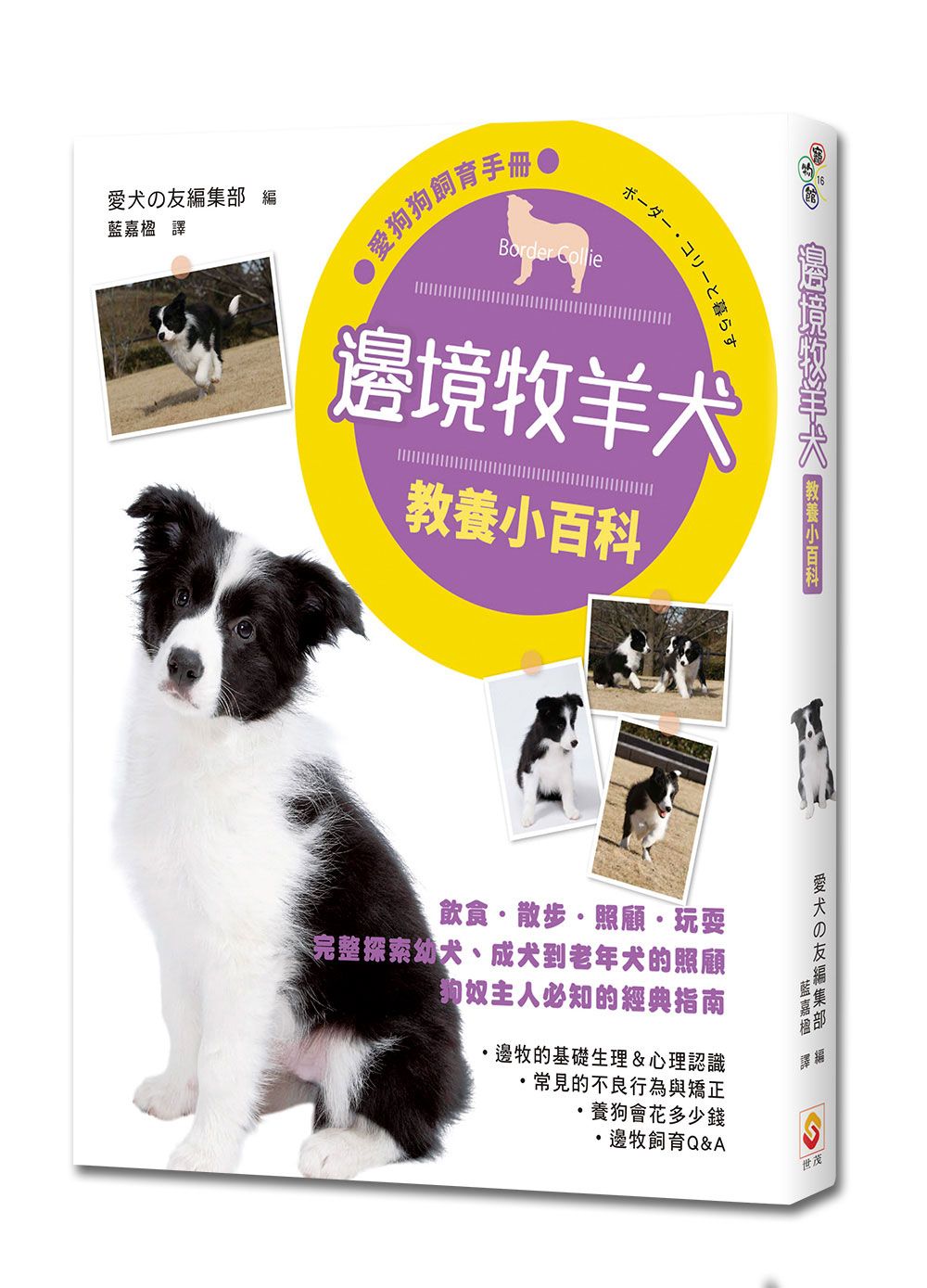 邊境牧羊犬教養小百科