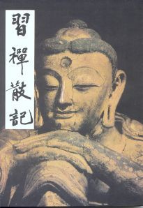 習禪散記