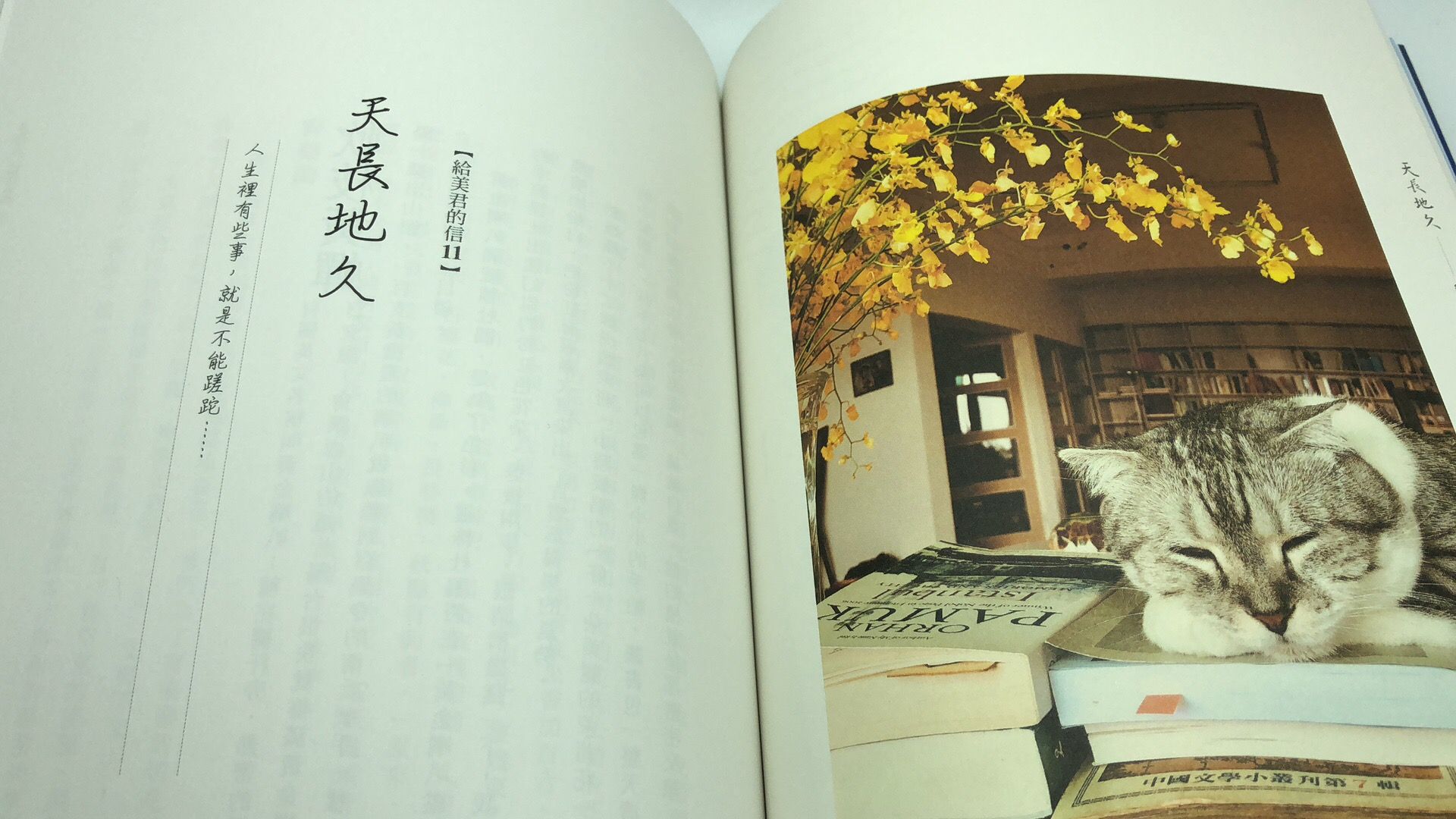 天長地久——給美君的信